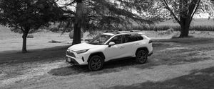 Preview wallpaper car, white, suv, tree, bw