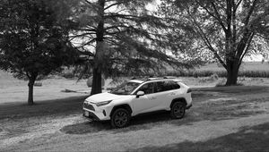 Preview wallpaper car, white, suv, tree, bw