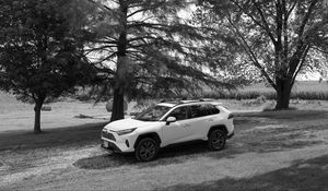 Preview wallpaper car, white, suv, tree, bw