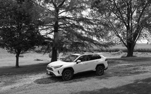 Preview wallpaper car, white, suv, tree, bw