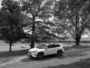 Preview wallpaper car, white, suv, tree, bw