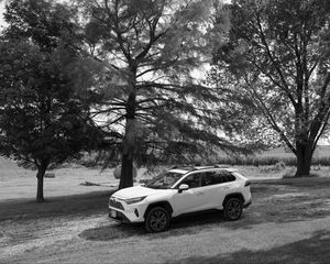 Preview wallpaper car, white, suv, tree, bw