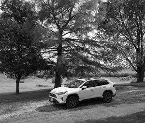 Preview wallpaper car, white, suv, tree, bw