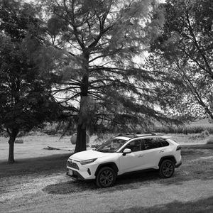 Preview wallpaper car, white, suv, tree, bw