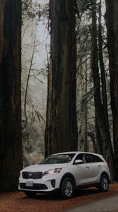 Preview wallpaper car, white, suv, side view, road, trees