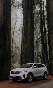 Preview wallpaper car, white, suv, side view, road, trees