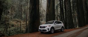 Preview wallpaper car, white, suv, side view, road, trees
