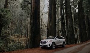 Preview wallpaper car, white, suv, side view, road, trees