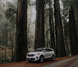 Preview wallpaper car, white, suv, side view, road, trees