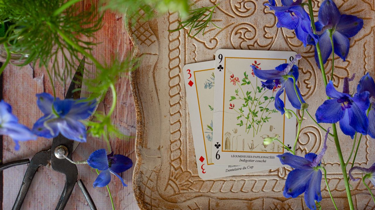 Wallpaper cards, flowers, scissors, wooden, still life