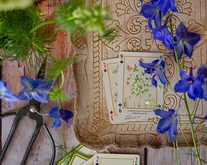 Preview wallpaper cards, flowers, scissors, wooden, still life
