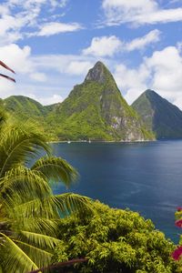 Preview wallpaper caribbean, ocean, palm trees, peaks