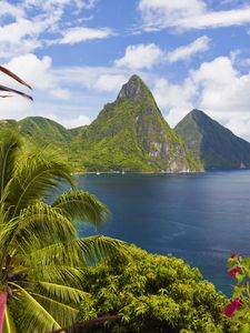 Preview wallpaper caribbean, ocean, palm trees, peaks