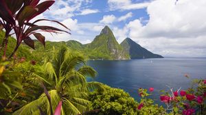 Preview wallpaper caribbean, ocean, palm trees, peaks