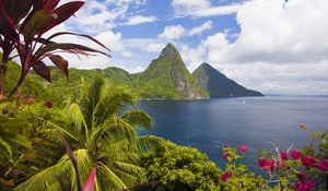 Preview wallpaper caribbean, ocean, palm trees, peaks