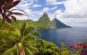 Preview wallpaper caribbean, ocean, palm trees, peaks