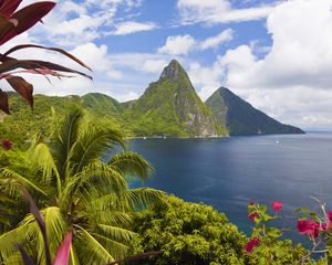 Preview wallpaper caribbean, ocean, palm trees, peaks