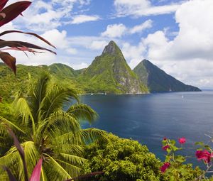 Preview wallpaper caribbean, ocean, palm trees, peaks