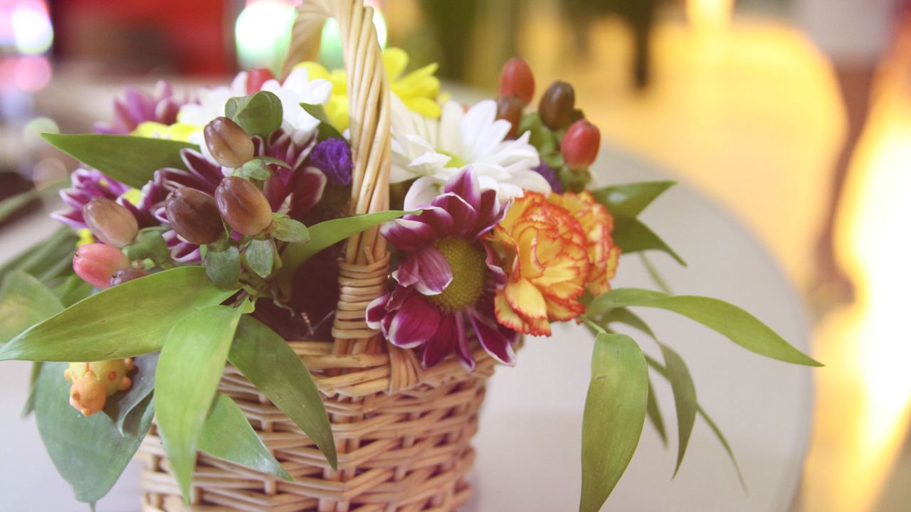 Wallpaper carnation, flower, basket, song, beauty