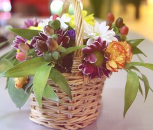 Preview wallpaper carnation, flower, basket, song, beauty