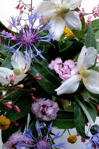 Preview wallpaper carnation, flowers, bouquets, composition, greens