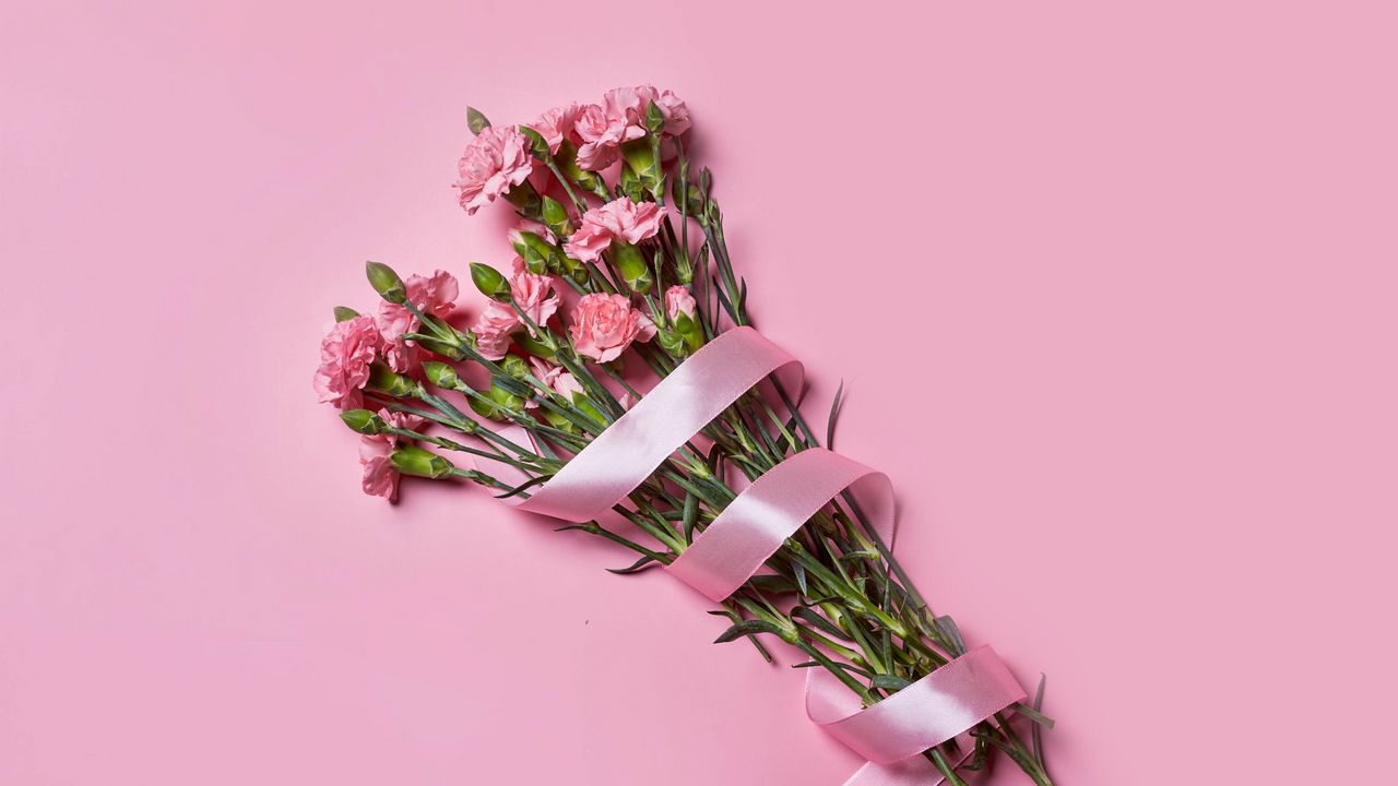 Wallpaper carnations, flowers, bouquet, ribbon, pink