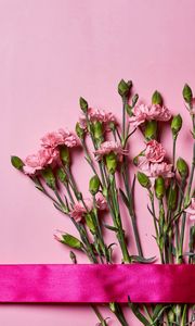 Preview wallpaper carnations, flowers, bouquet, pink, ribbon