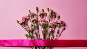 Preview wallpaper carnations, flowers, bouquet, pink, ribbon