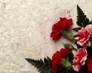 Preview wallpaper carnations, flowers, bouquet, drops, leaves, fresh