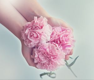 Preview wallpaper carnations, flowers, hands, pink
