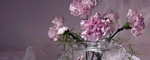 Preview wallpaper carnations, flowers, tea pair, vase