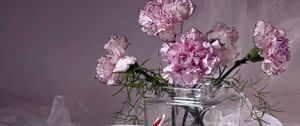 Preview wallpaper carnations, flowers, tea pair, vase