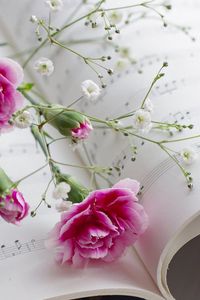 Preview wallpaper carnations, gypsophila, sheet music, music