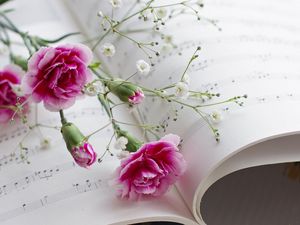 Preview wallpaper carnations, gypsophila, sheet music, music