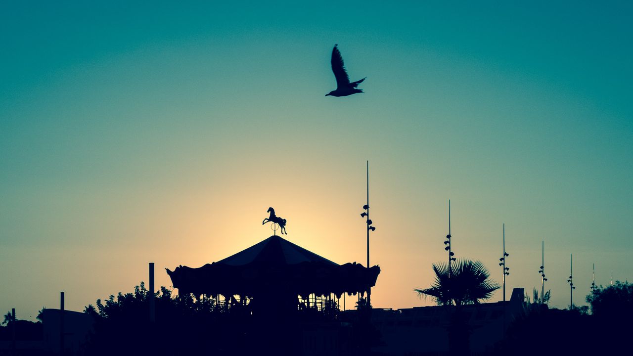 Wallpaper carousel, bird, silhouette, twilight, dreams