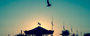 Preview wallpaper carousel, bird, silhouette, twilight, dreams