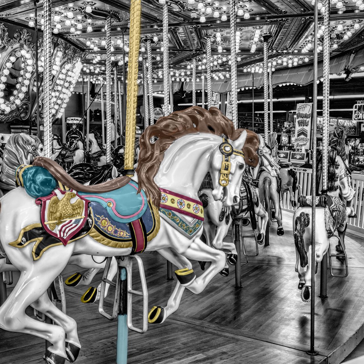 carousel. rotation. horse. 