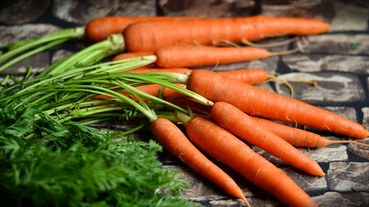 Wallpaper carrots, vegetables, harvest