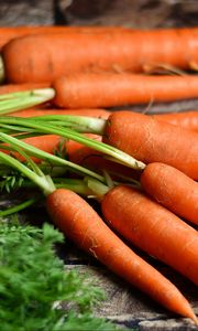 Preview wallpaper carrots, vegetables, harvest