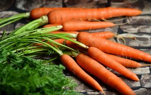 Preview wallpaper carrots, vegetables, harvest