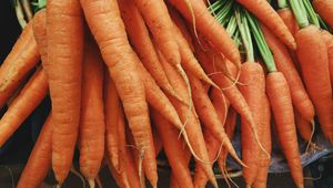 Preview wallpaper carrots, vegetables, many