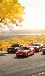 Preview wallpaper cars, asphalt, trees, parking