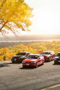 Preview wallpaper cars, asphalt, trees, parking