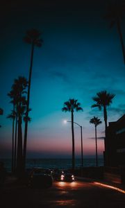 Preview wallpaper cars, palm trees, sunset, night, tropics