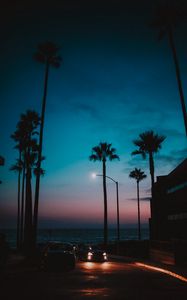 Preview wallpaper cars, palm trees, sunset, night, tropics