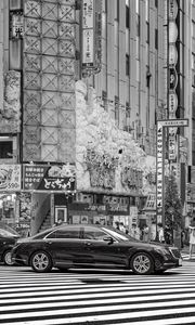 Preview wallpaper cars, street, city, buildings, bw