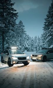 Preview wallpaper cars, white, snow, winter, trees