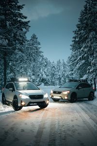 Preview wallpaper cars, white, snow, winter, trees