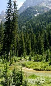 Preview wallpaper cascade canyon, grand teton national park, usa, wyoming