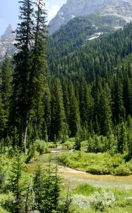 Preview wallpaper cascade canyon, grand teton national park, usa, wyoming